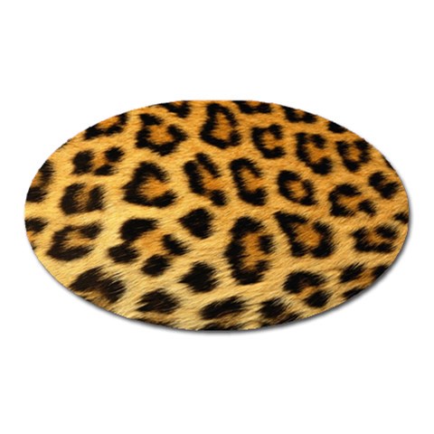 Cheetah Magnet (Oval) from ArtsNow.com Front