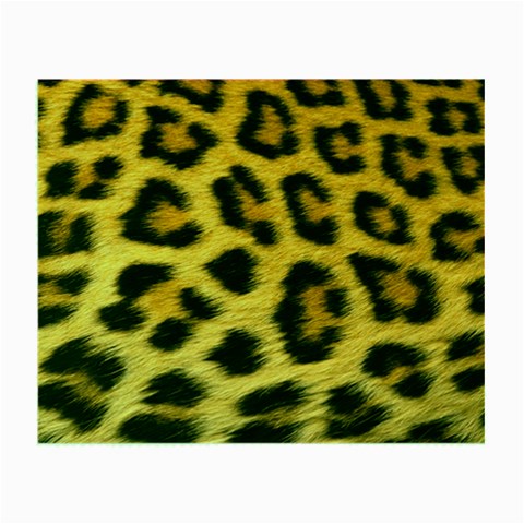 Cheetah Glasses Cloth (Small) from ArtsNow.com Front