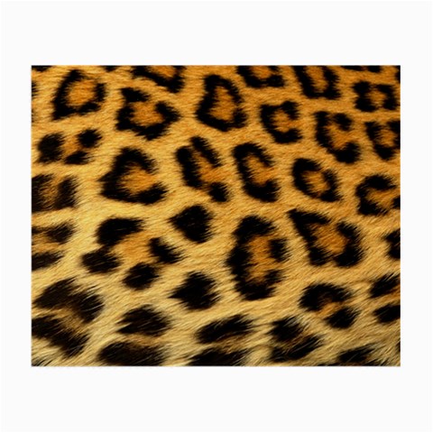 Cheetah Glasses Cloth (Small, Two Sides) from ArtsNow.com Front