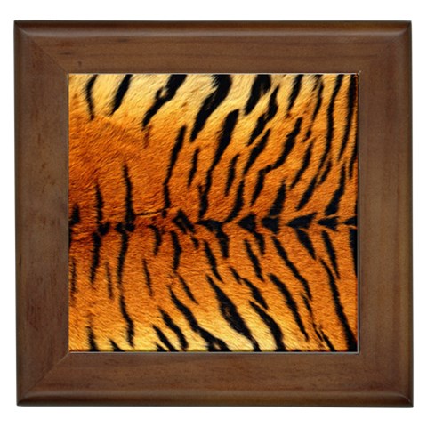 Tiger Framed Tile from ArtsNow.com Front