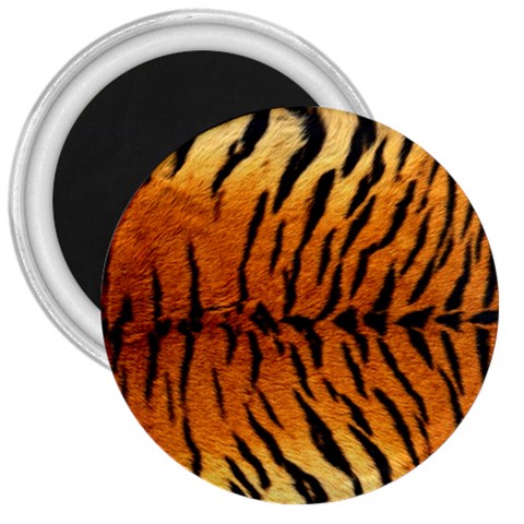 Tiger 3  Magnet from ArtsNow.com Front