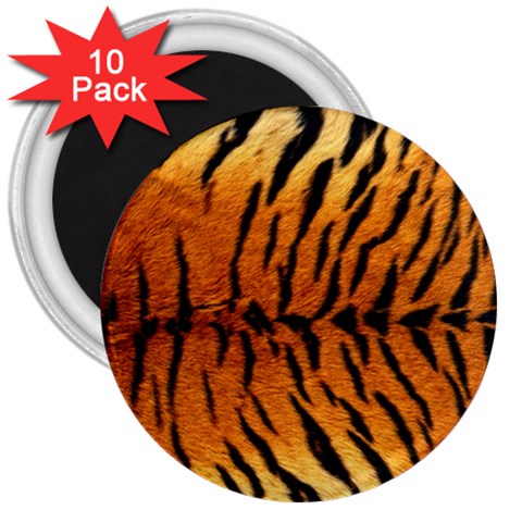 Tiger 3  Magnet (10 pack) from ArtsNow.com Front