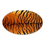 Tiger Magnet (Oval)