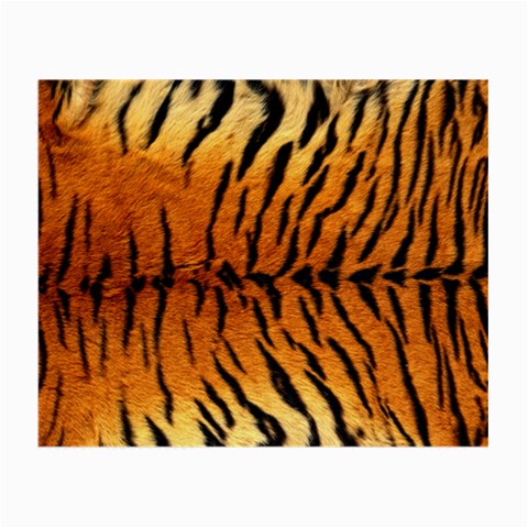 Tiger Glasses Cloth (Small) from ArtsNow.com Front