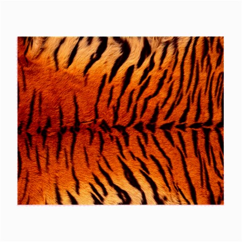 Tiger Glasses Cloth (Small) from ArtsNow.com Front