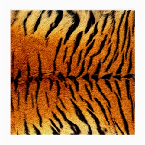 Tiger Glasses Cloth (Medium) from ArtsNow.com Front