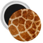 Giraffe 3  Magnet