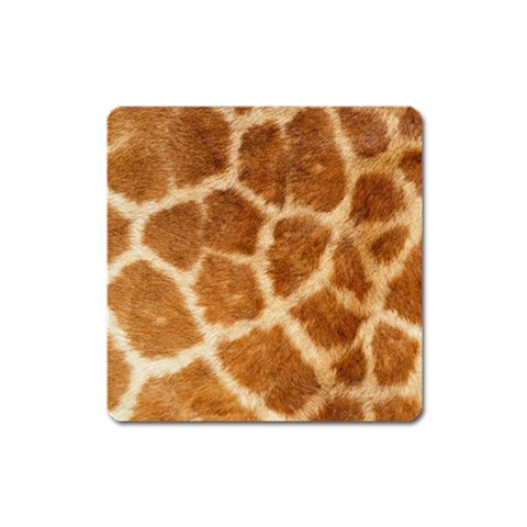 Giraffe Magnet (Square) from ArtsNow.com Front