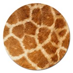 Giraffe Magnet 5  (Round)