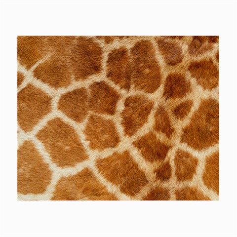 Giraffe Glasses Cloth (Small, Two Sides) from ArtsNow.com Front