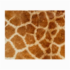 Giraffe Glasses Cloth (Small, Two Sides) from ArtsNow.com Back