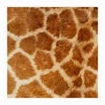 Giraffe Glasses Cloth (Medium)