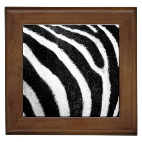 Zebra Framed Tile from ArtsNow.com Front