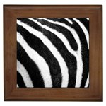 Zebra Framed Tile