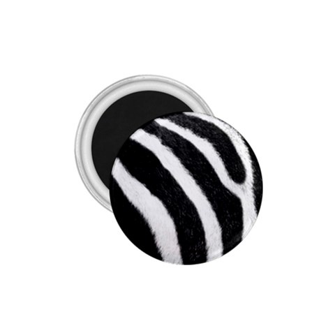 Zebra 1.75  Magnet from ArtsNow.com Front