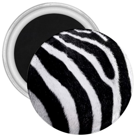 Zebra 3  Magnet from ArtsNow.com Front