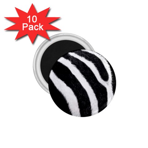 Zebra 1.75  Magnet (10 pack)  from ArtsNow.com Front