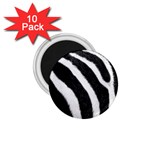 Zebra 1.75  Magnet (10 pack) 