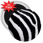 Zebra 3  Magnet (10 pack)