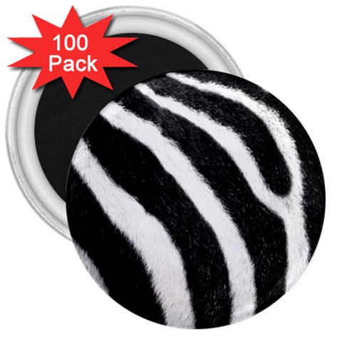 Zebra 3  Magnet (100 pack) from ArtsNow.com Front