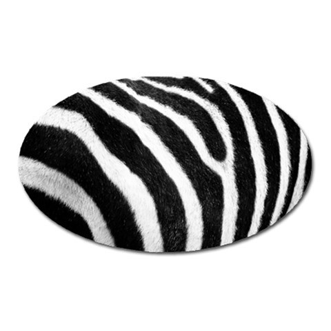 Zebra Magnet (Oval) from ArtsNow.com Front