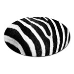 Zebra Magnet (Oval)