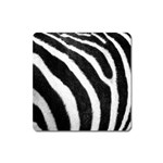 Zebra Magnet (Square)