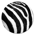 Zebra Magnet 5  (Round)