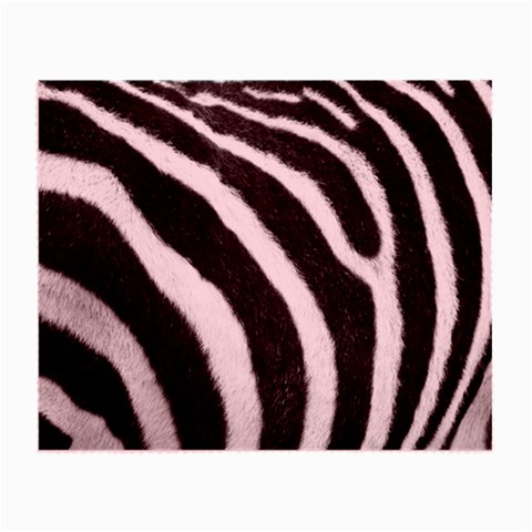 Zebra Glasses Cloth (Small) from ArtsNow.com Front