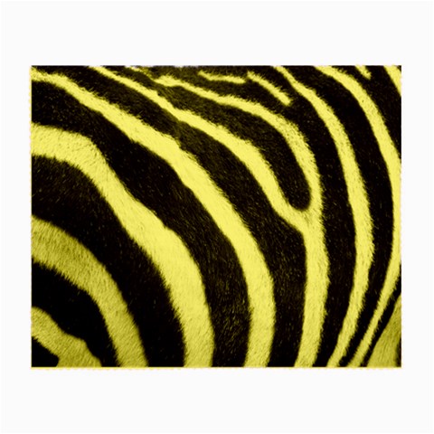 Zebra Glasses Cloth (Small) from ArtsNow.com Front