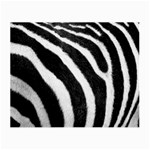 Zebra Glasses Cloth (Small)