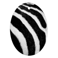 Zebra Oval Ornament (Two Sides) from ArtsNow.com Front