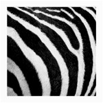 Zebra Glasses Cloth (Medium)