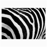 Zebra Glasses Cloth (Large, Two Sides)