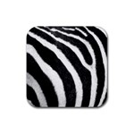 Zebra Rubber Coaster (Square)