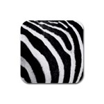 Zebra Rubber Square Coaster (4 pack)