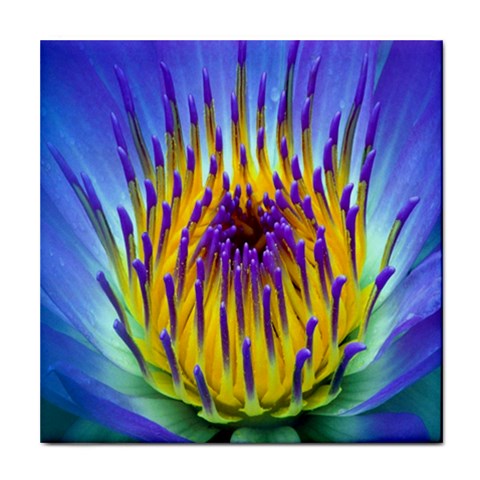 Water Lily Tile Coaster from ArtsNow.com Front