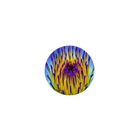 Water Lily 1  Mini Button from ArtsNow.com Front