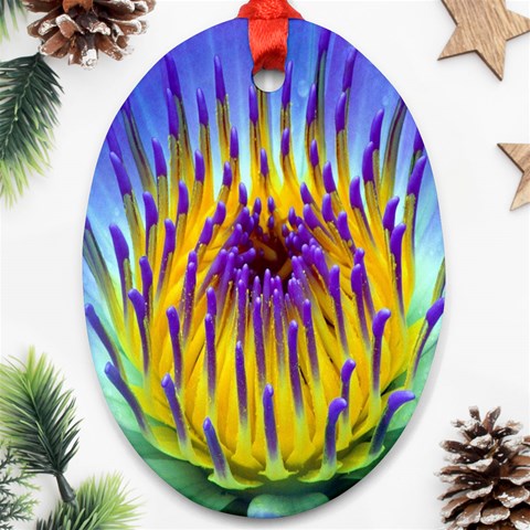 Water Lily Ornament (Oval) from ArtsNow.com Front