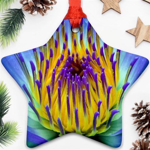 Water Lily Ornament (Star) from ArtsNow.com Front