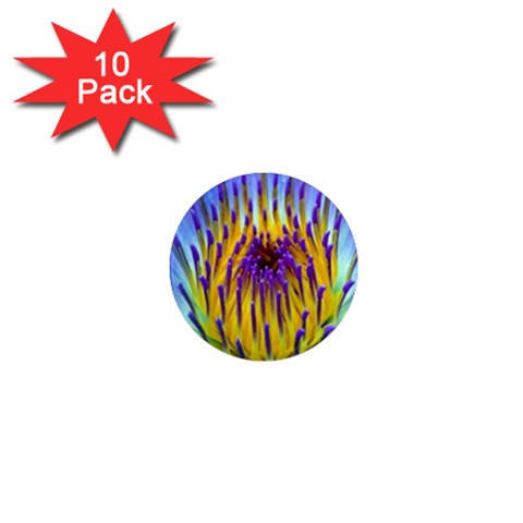 Water Lily 1  Mini Magnet (10 pack)  from ArtsNow.com Front