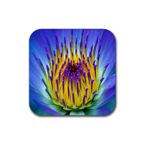 Water Lily Rubber Coaster (Square) from ArtsNow.com Front