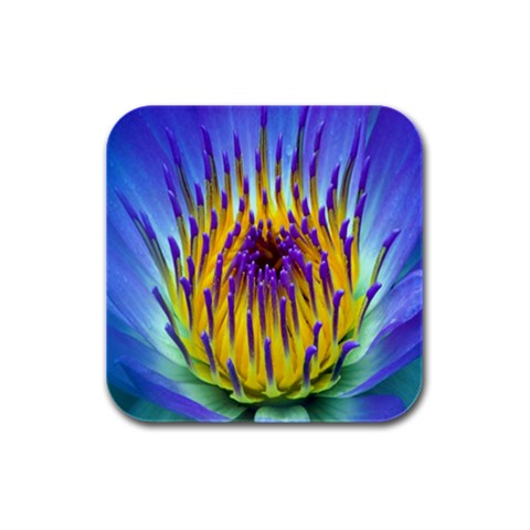 Water Lily Rubber Square Coaster (4 pack) from ArtsNow.com Front