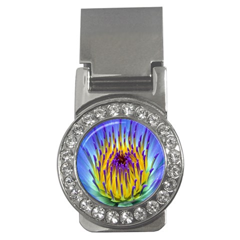 Water Lily Money Clip (CZ) from ArtsNow.com Front