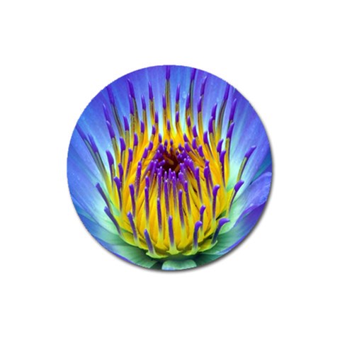 Water Lily Magnet 3  (Round) from ArtsNow.com Front