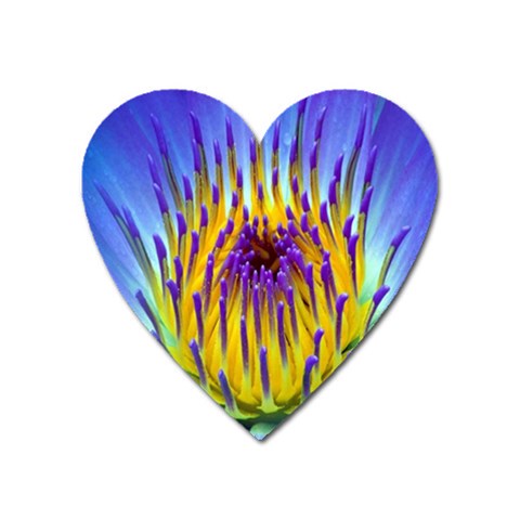 Water Lily Magnet (Heart) from ArtsNow.com Front