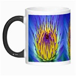 Water Lily Morph Mug