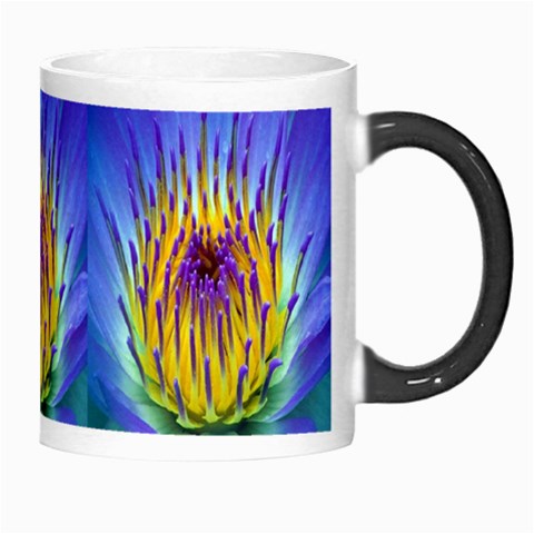 Water Lily Morph Mug from ArtsNow.com Right