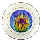 Water Lily Porcelain Plate