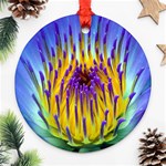 Water Lily Round Ornament (Two Sides)